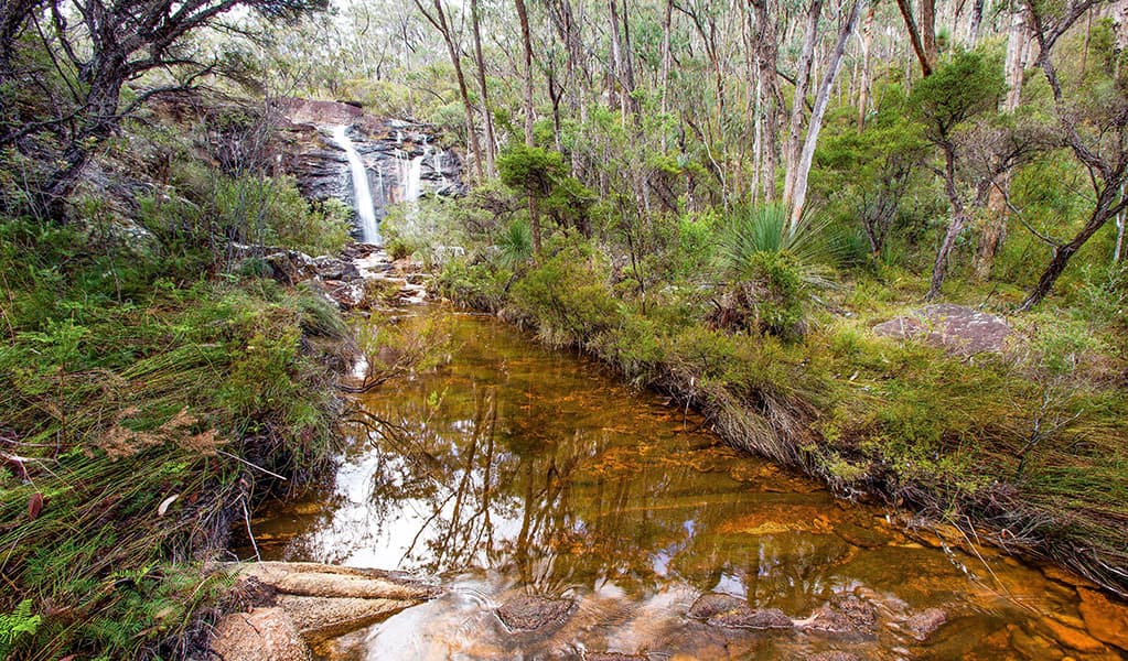 Duffer Creek and Boundary Falls in the background. Credit: Robert Cleary © DCCEEW