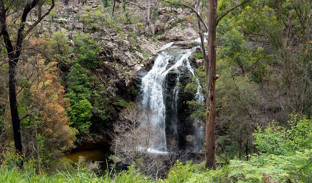 Boundary Falls waterfall. Credit: Leah Pippos © DCCEEW