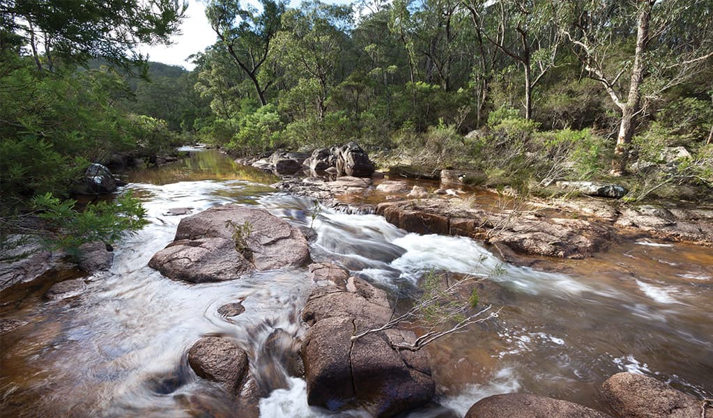 Little Dandahra Creek. Photo: Robert Cleary © DCCEEW