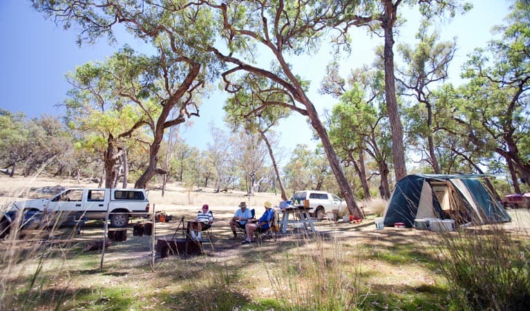 A group of people sitting beside their tent and car at Big River campground, Goulburn River National Park. Photo: Nick Cubbin © DPIE