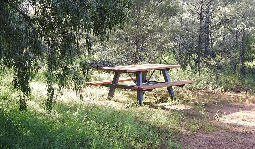 Photo of a picnic table surrounded by trees, grass and shurb at Dry Tank campground and picnic area in Gundabooka National Park. Photo credit: Jess Ellis/DPE © DPE