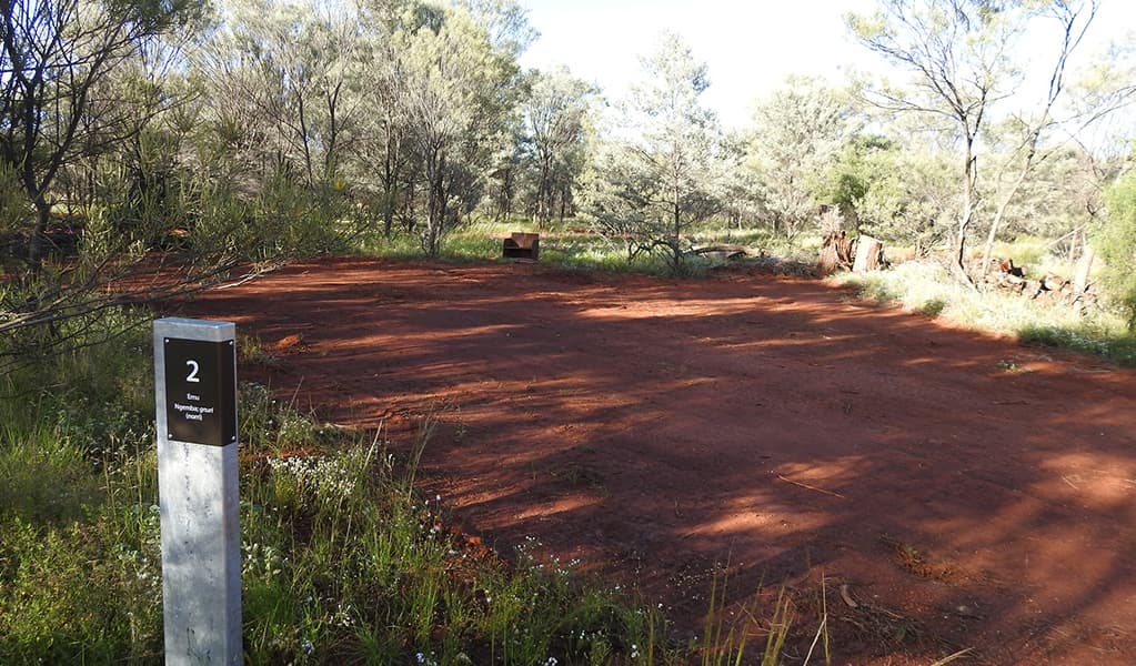 Photo of campsite number 2 surrounded by trees, grass and shrub at Dry Tank campground in Gundabooka National Park. Photo credit: Jess Ellis/DPE © DPE