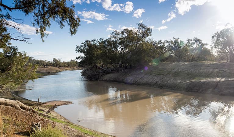 The Darling River at Yanda campground in Gundabooka State Conservation Area. Photo: Leah Pippos © DPIE