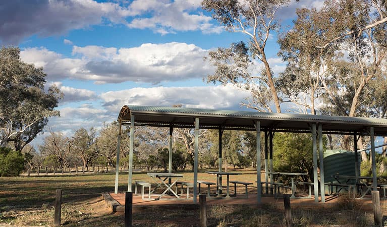 A picnic shelter at Yanda campground in Gundabooka State Conservation Area. Photo: Leah Pippos © DPIE