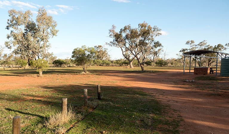 Yanda campground in Gundabooka State Conservation Area. Photo: Leah Pippos © DPIE