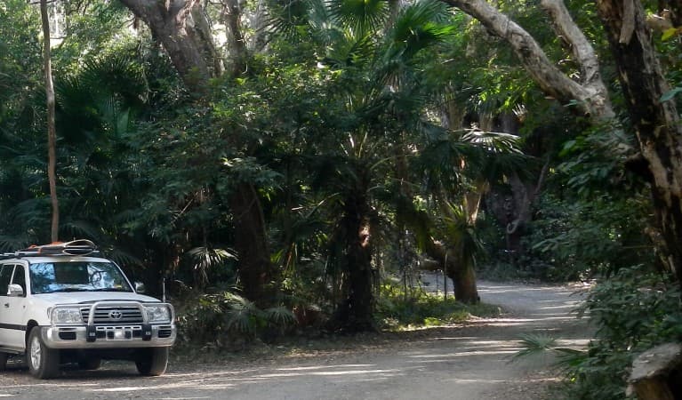 A car parked under trees at Smoky Cape campground in Hat Head National Park. Photo © Debbie McGerty