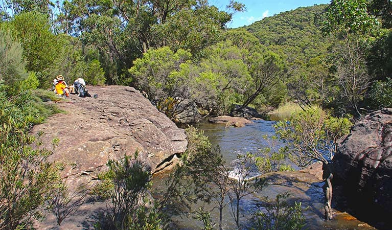Kingfisher Pool campground, Heathcote National Park. Photo: John Yurasek © OEH