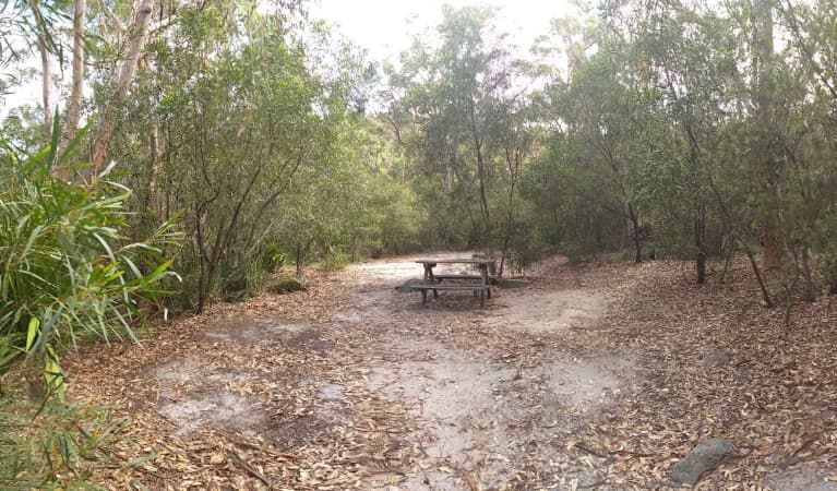 A picnic table in a clearing at Kingfisher Pool campground in Heathcote National Park. Photo: Jodie McGill © DPIE