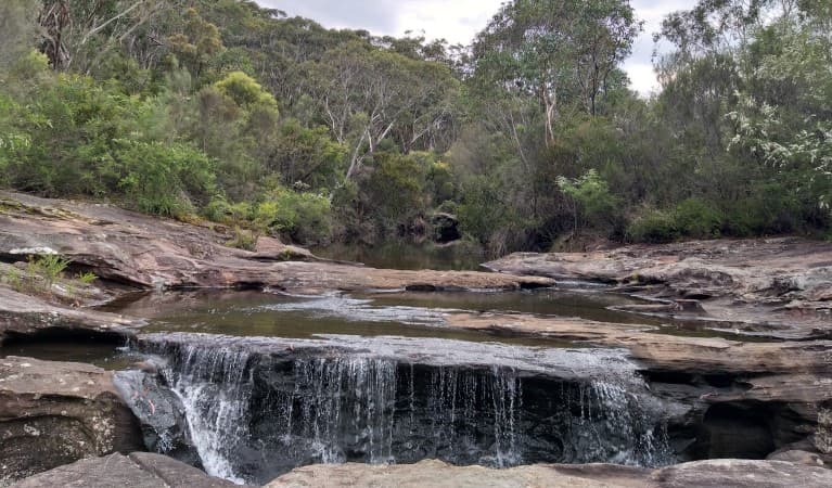 A small waterfall at Kingfisher Pool in Heathcote National Park. Photo: Jodie McGill © DPIE