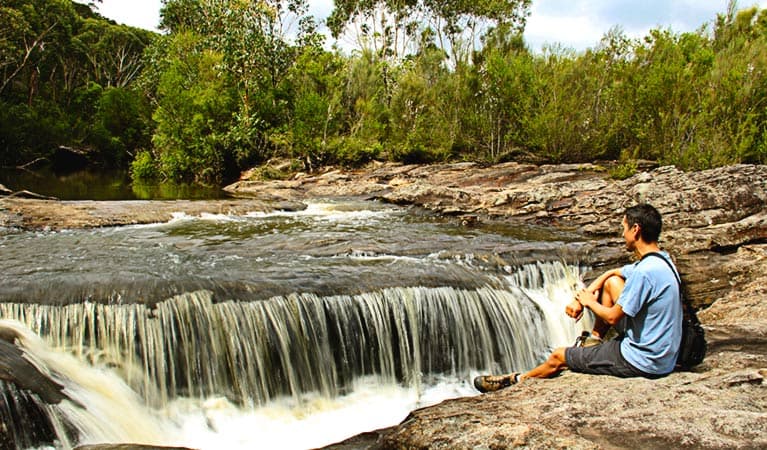 Kingfisher Pool campground, Heathcote National Park. Photo: John Yurasek © DPIE