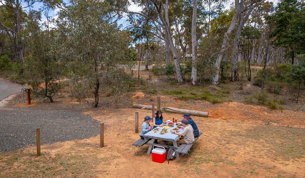 A group of campers eating lunch at a picnic table, Glendora campground. Credit: John Spencer/DCCEEW © DCCEEW