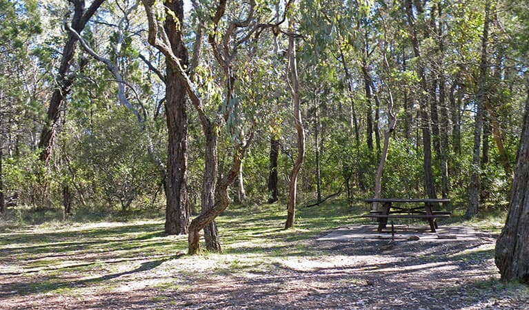 View of a clearing with picnic table surrounded by bushland in Horton Falls National Park. Photo: Peter Croft © DPIE
