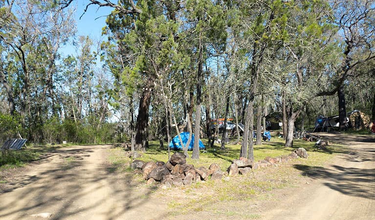 Horton Falls campground and picnic area with tents tucked away amongst the trees in Horton Falls National Park. Photo: Leah Pippos © DPIE