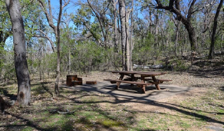 Picnic tables at Horton Falls campground and picnic area, Horton Falls National Park. Photo: Peter Berney © DPIE