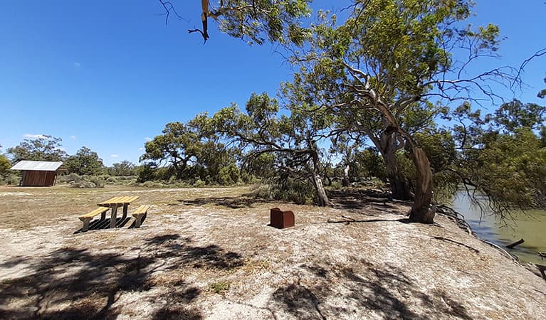 A picnic table and wood barbecue on the banks of the river at Lachlan River campground in Kalyarr National Park. Photo: Jessica Murphy © DPIE