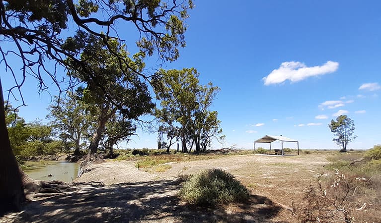 The banks of the Lachlan River at Lachlan River campground with a barbecue shelter in the distance in Kaylarr National Park. Photo: Jessica Murphy © DPIE