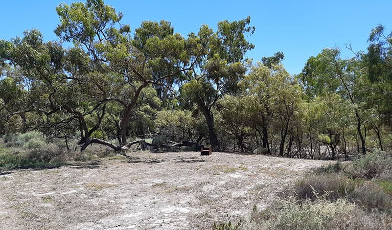 A wood barbecue at one of the campsites in Lachlan River campground, surrounded by red river gums and river cooba in Kaylarr National Park. Photo: Jessica Murphy © DPIE