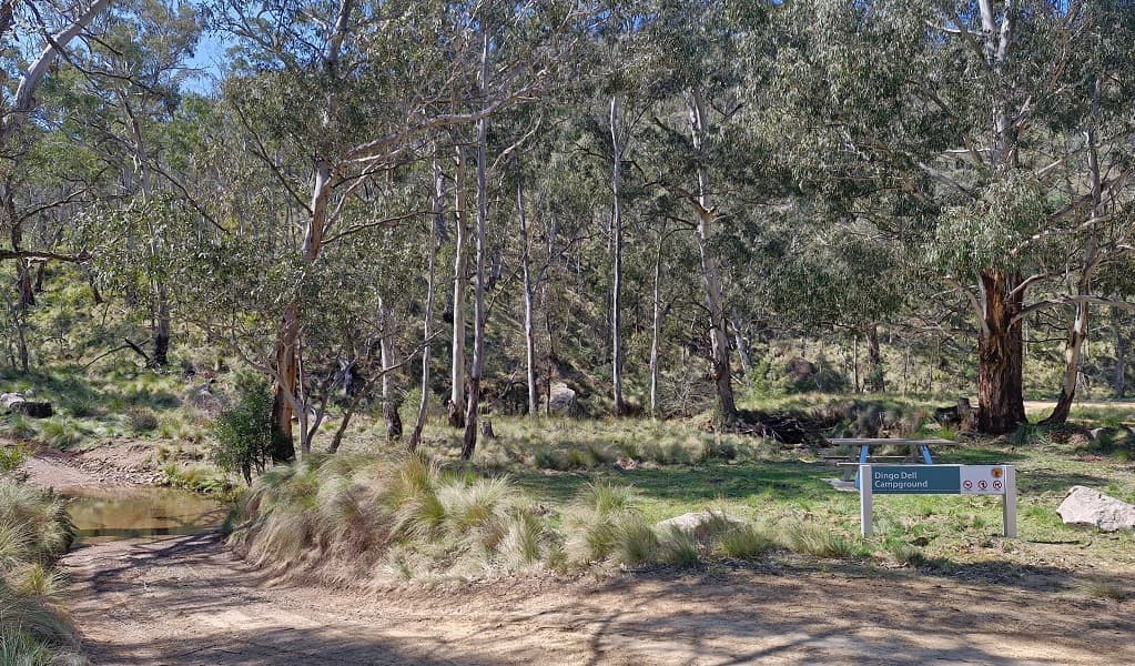 Kowmung River fire trail leading into the entrance of Dingo Dell campground on Tuglow Hole Creek, Dingo Dell campground, Kanangra Boyd National Park. Credit: Louisa Roberts/DCCEEW © DCCEEW