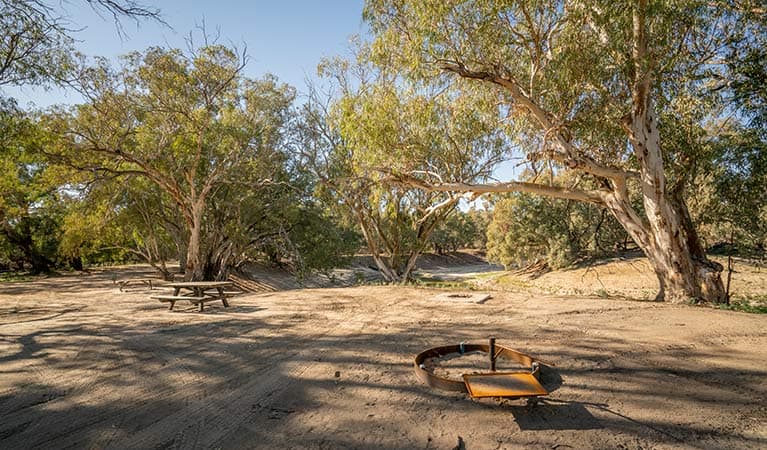 Picnic table and fire ring at campsite 34 in Darling RIver campground. Photo: John Spencer/DPIE