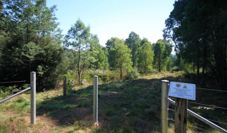 A sign and posts mark the National trail at Geehi horse camp, Kosciuszko National Park. Photo: Elinor Sheargold © DPIE