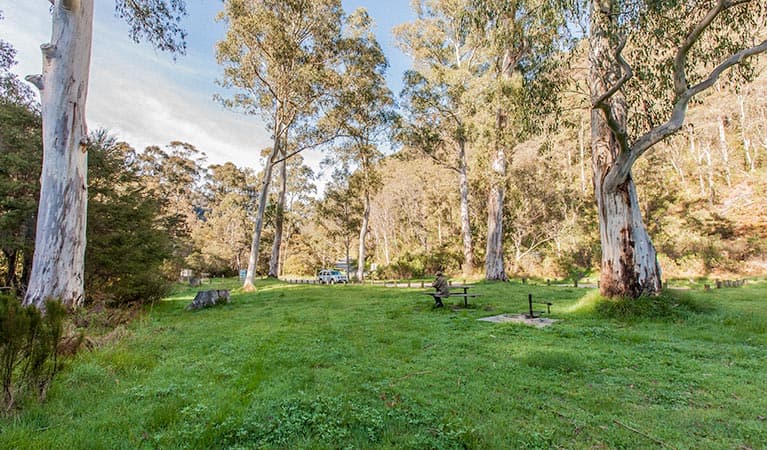 Grassy flat space at Leatherbarrel Creek campground and picnic area, Kosciuszko National Park. Photo: Murray Vanderveer © DPIE