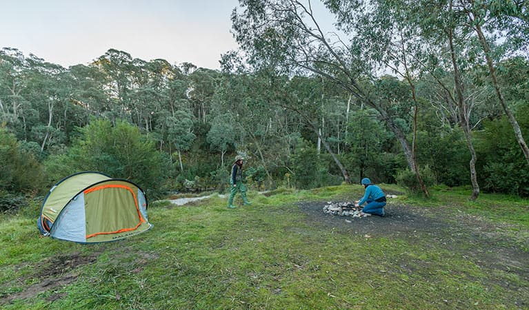 Tom Groggin campground, Koscisuzko National Park. Photo: Murray Vanderveer/NSW Government