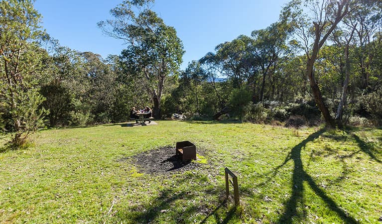 Grassy clearing with people seated at a picnic table, with a wood-fired barbecue in the foreground, in Kosciuszko National Park. Photo: Murray Vanderveer © DPIE