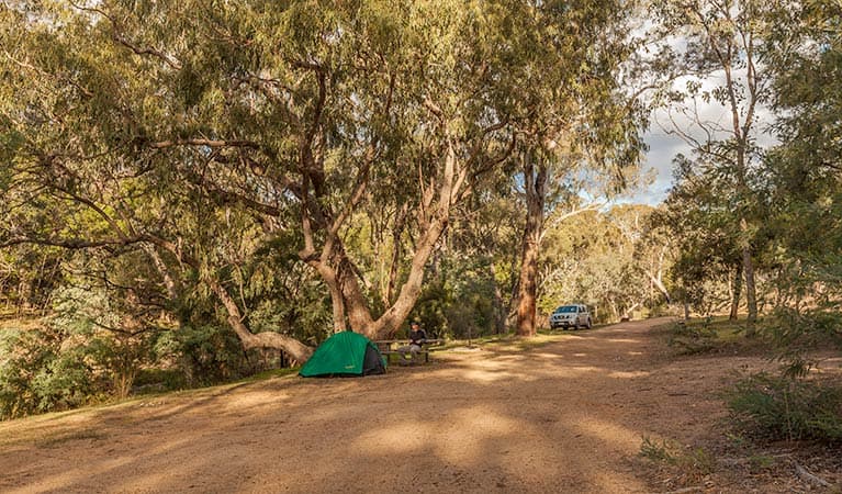 Jacobs River – Tongaroo campground, Kosciuszko National Park. Photo credit: Murray Vanderveer © DPIE