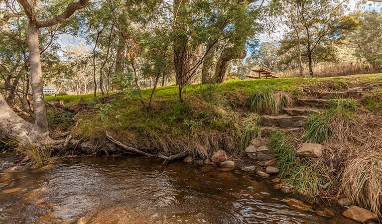 Jacobs River – Tongaroo campground, Kosciuszko National Park. Photo credit: Murray Vanderveer © DPIE