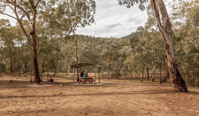 Pinch River β Moyangul campground, Kosciuszko National Park. Photo: Murray Vanderveer Β© DPIE