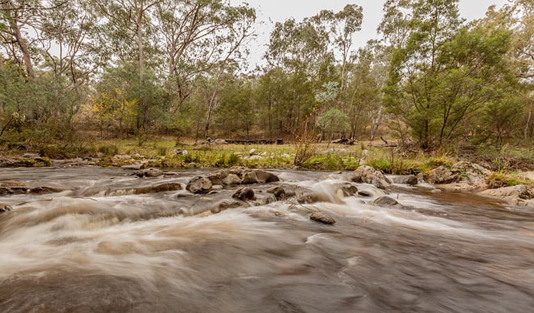 Pinch River β Moyangul campground, Kosciuszko National Park. Photo: Murray Vanderveer Β© DPIE