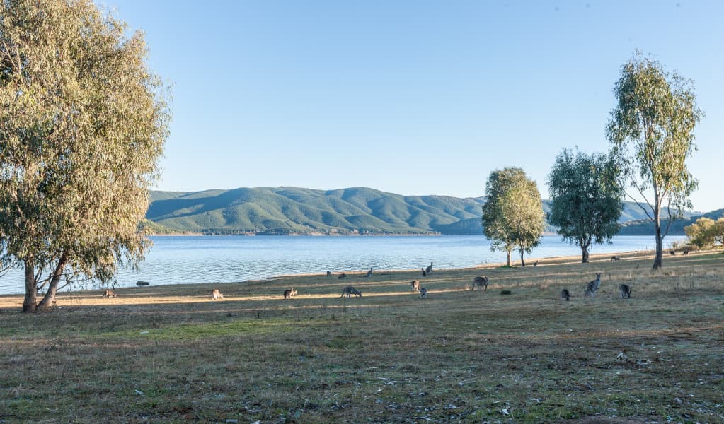 Yachting Point campground in Kosciuszko National Park. Photo: Murray Vanderveer © DCCEEW