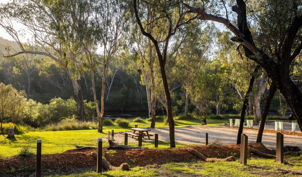 A picnic table surrounded by trees at Kookibitta campground in Kwiambal National Park. Photo; Simon Scott © DCCEEW