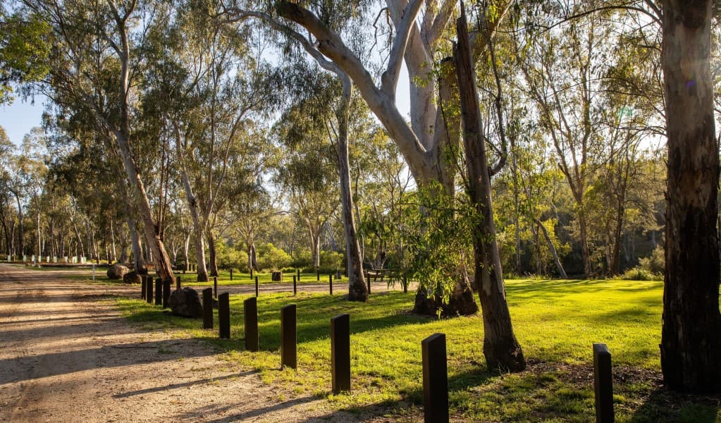 The road through Kookibitta campground in Kwiambal National Park. Photo: Simon Scott © DCCEEW