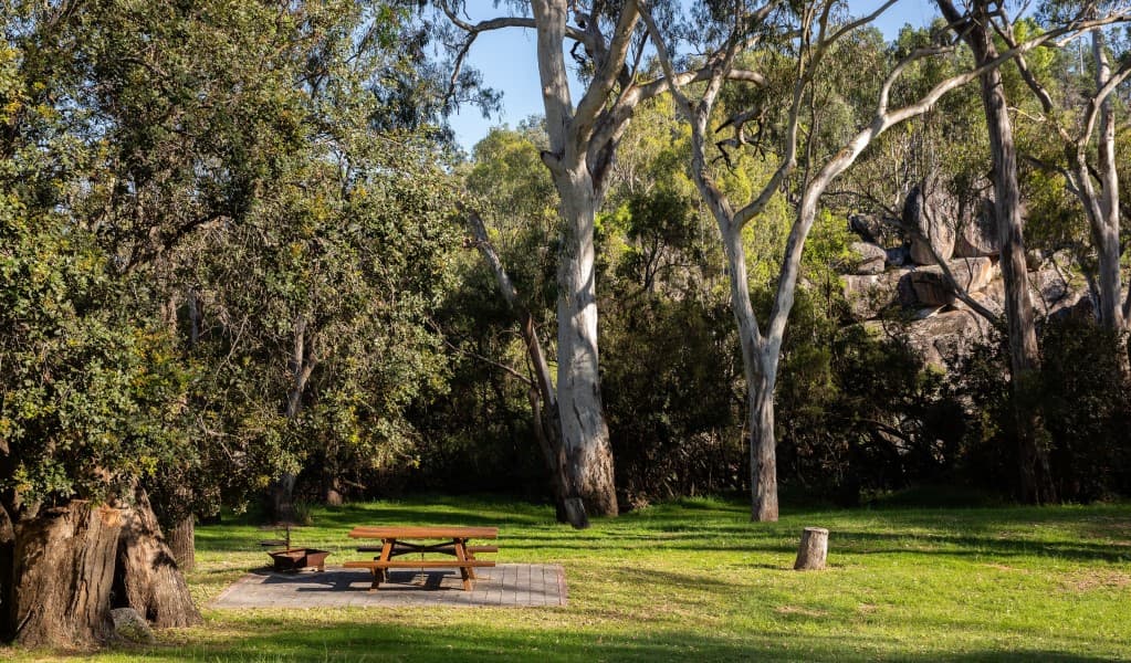 A picnic table surrounded by trees at Lemon Tree Flat campground in Kwiambal National Park. Photo: Simon Scott © DCCEEW