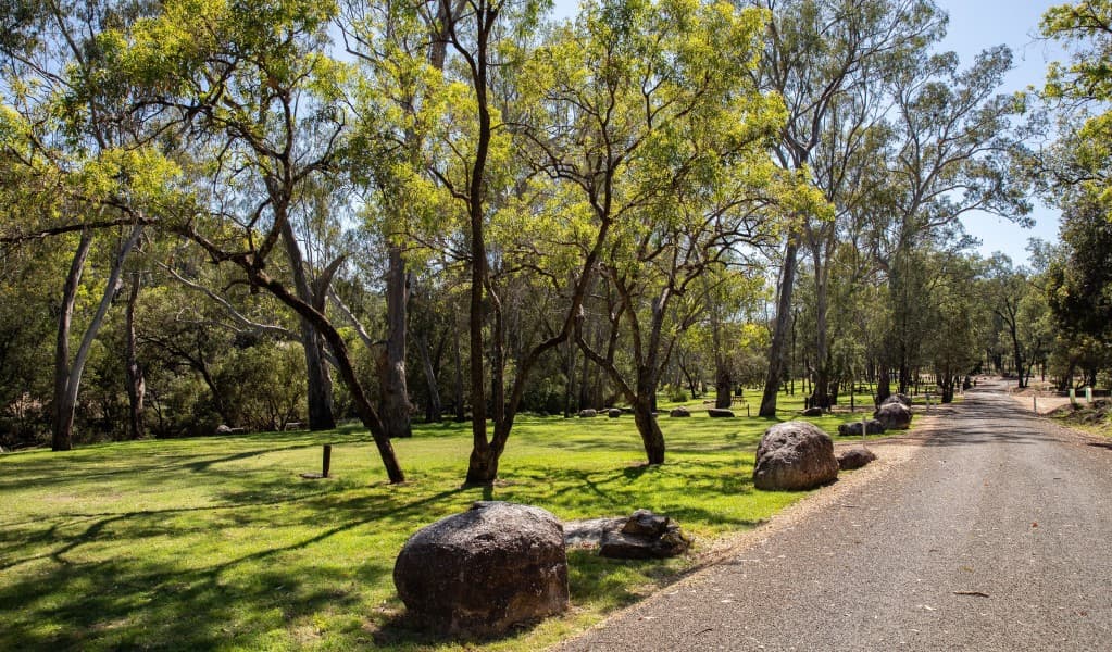 The road into Lemon Tree Flat campground in Kwiambal National Park. Photo: Simon Scott © DCCEEW