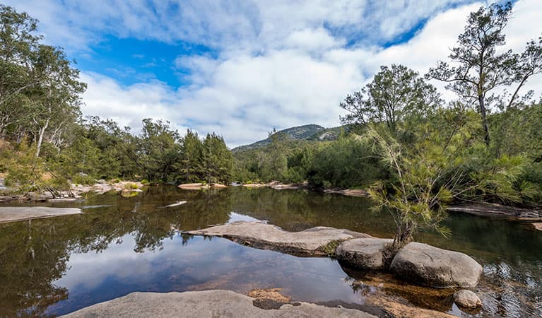 Mann River campground and picnic area, Mann River Nature Reserve. Photo: John Spencer © OEH