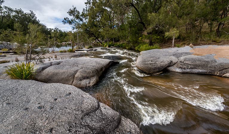 Mann River campground and picnic area, Mann River Nature Reserve. Photo: John Spencer © OEH
