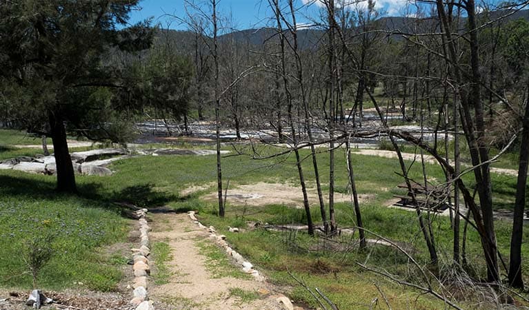 Mann River campground and picnic area, Mann River Nature Reserve. Photo credit: Leah Pippos © DPIE