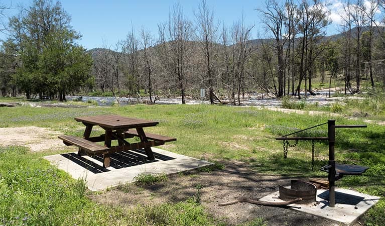 Mann River campground and picnic area, Mann River Nature Reserve. Photo credit: Leah Pippos © DPIE
