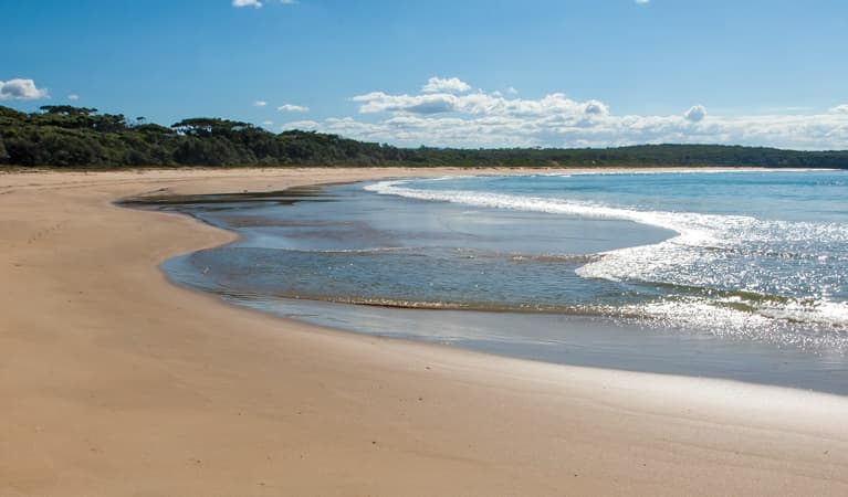 Meroo Head campground, Meroo National Park. Photo: Michael van Ewijk/OEH
