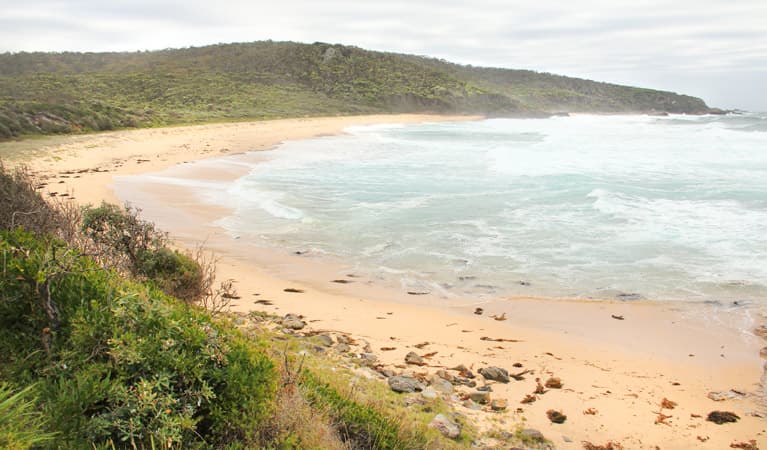 Picnic Point Campground, Mimosa Rocks National Park. Photo: John Yurasek Copyright: NSW Government
