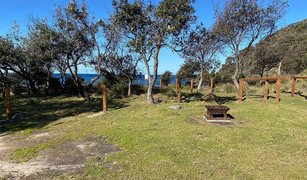 Picnic Point, Mimosa Rocks National Park. Photo: John Yurasek Copyright: NSW Government