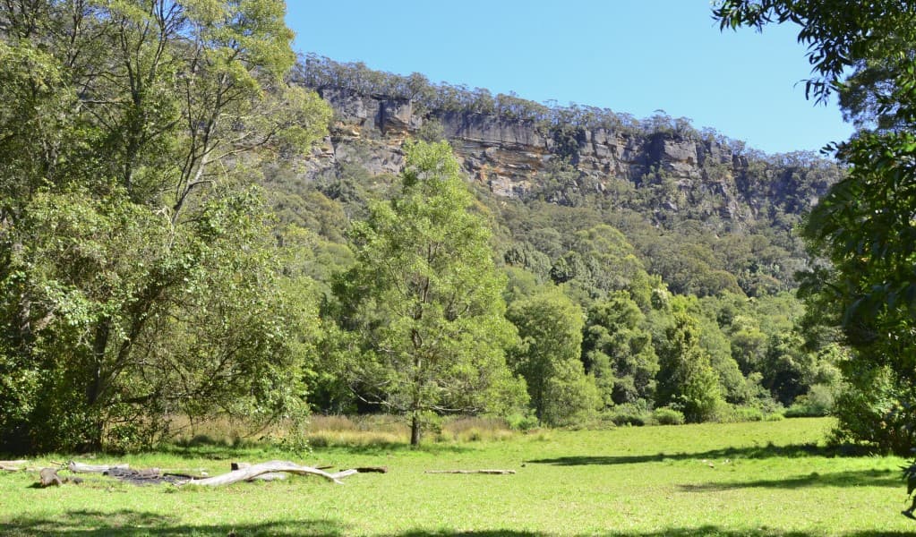 Gales Flat campground, surrounded by trees and sandstone cliffs in Morton National Park. Photo © Jacqueline Devereaux