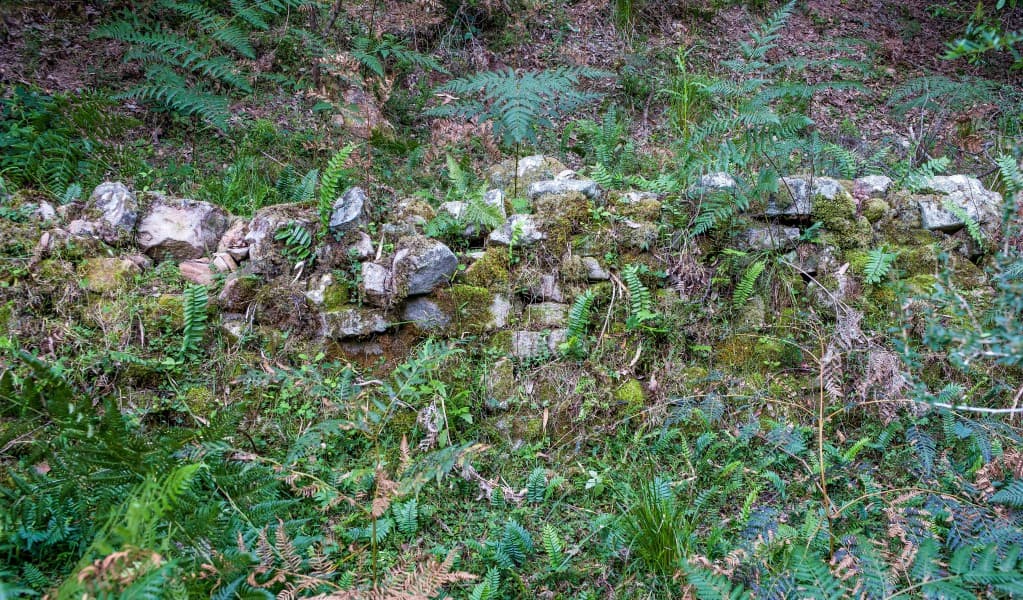 Remnants of an old house, barn, and rock wall fence can still be seen at Griffins Farm campground in Morton National Park. Photo: Michael Van Ewijk © OEH