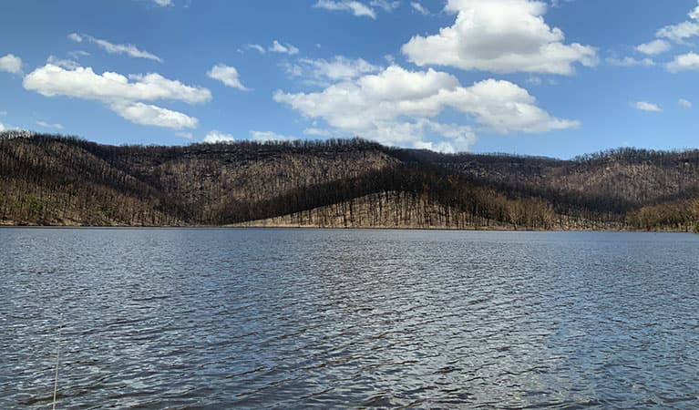 The Kangaroo River arm of Lake Yarrunga. Photo credit: Audrey Kutzner © DPIE