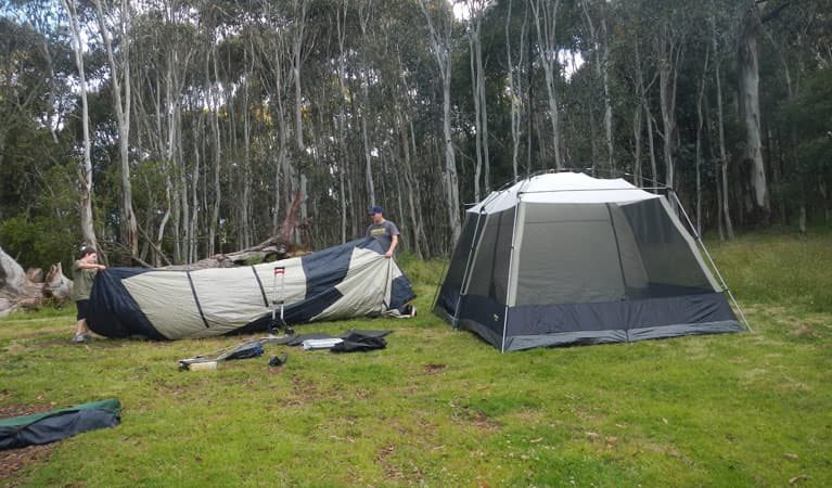 Tents in Federal Falls campground. Photo © Debby McGerty