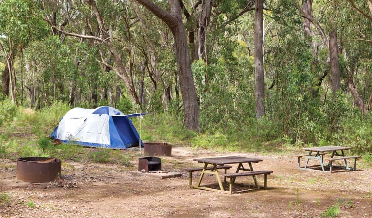 Tents in Bark Hut campground. Photo © Rob Cleary