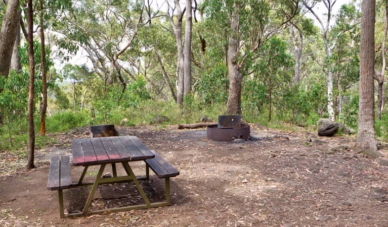 Bark Hut Campground, Mount Kaputar National Park. Photo © Rob Cleary