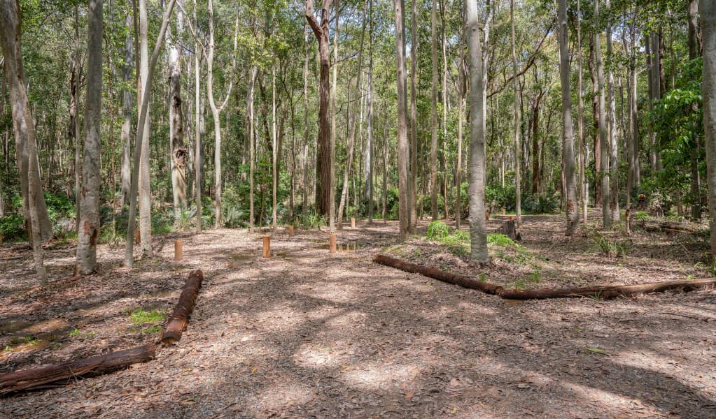 Tall trees and campsite at Oaky Beach campground in Murramarang National Park. Credit: John Spencer © DPE